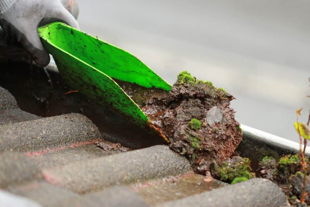Gutter clearing Somerset West before Cape winter